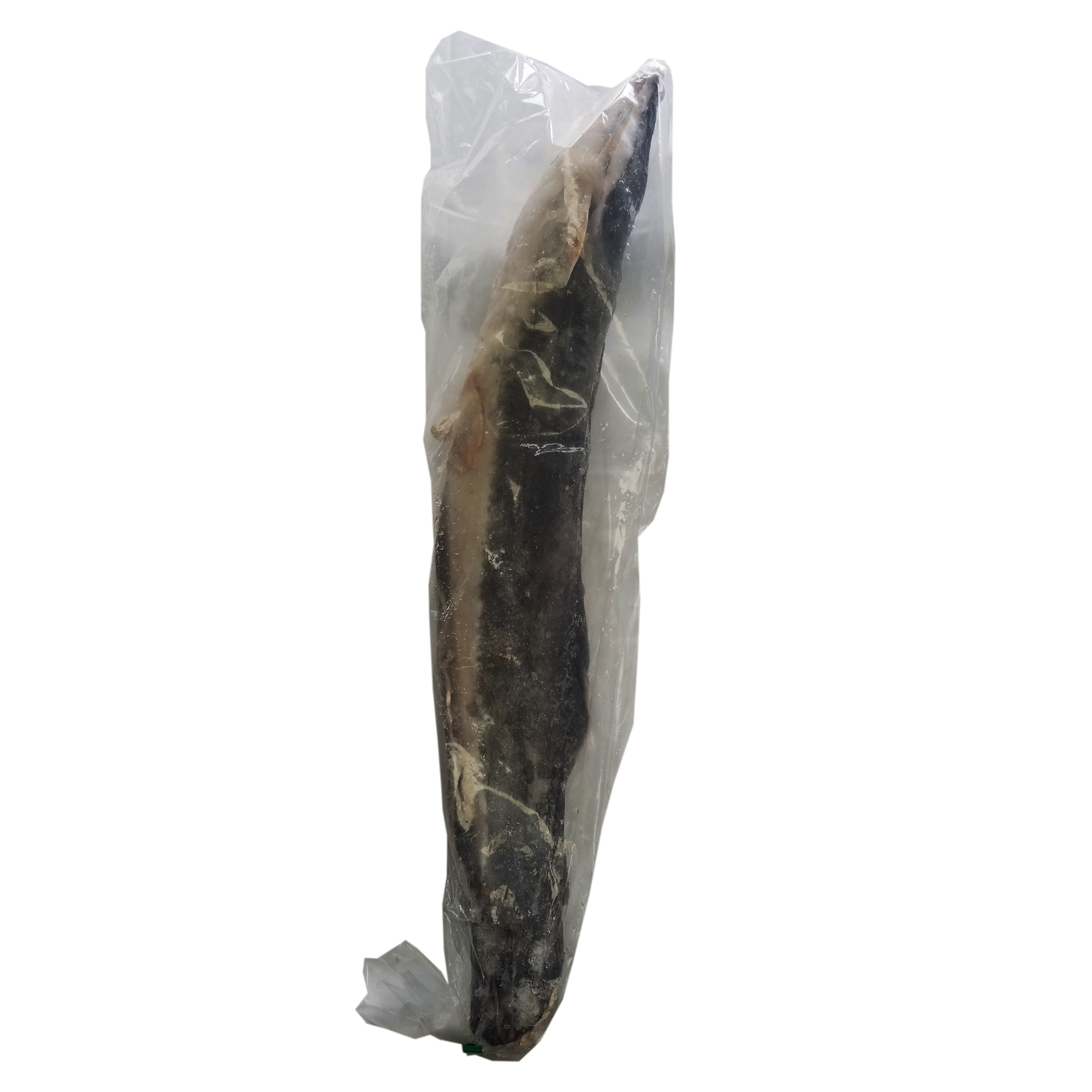 Frozen Catfish Box 13.2lbs 6Kg thumbnail 2