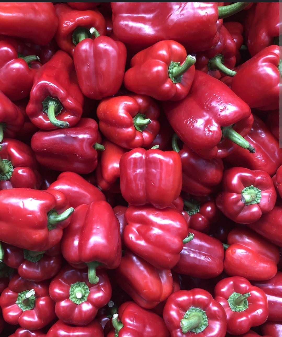 Red Bell Pepper 15lb