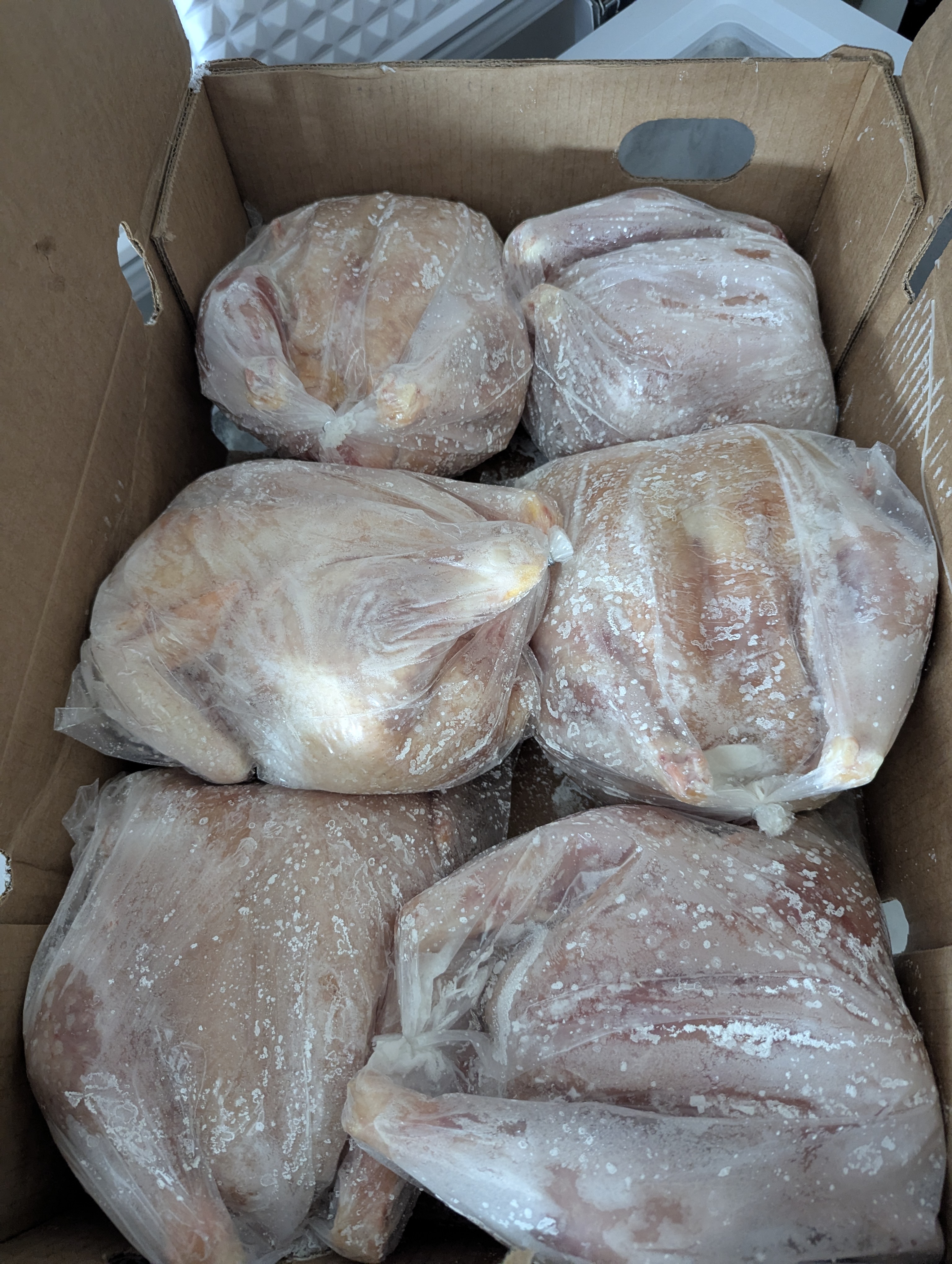 Chicken