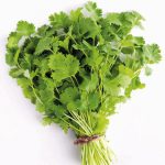 Fresh Green Coriander Leaves (Small Bunch)